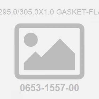 M295.0/305.0X1.0 Gasket-Flat